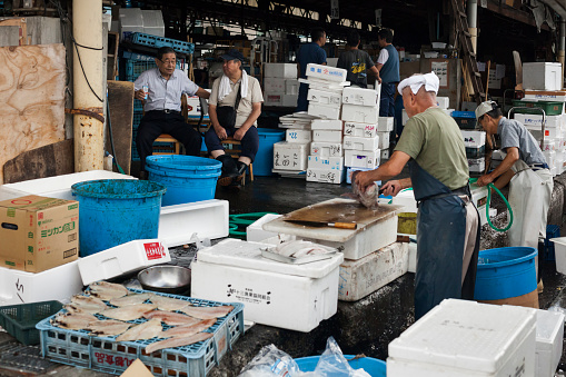 Horizontal view of some fishmongers working in the Seafood Intermediate Wholesalers' Area, Tsukiji Market, Tsukiji district, Tokyo