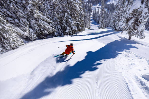 powder skiing - skiing snow ski slope sunlight imagens e fotografias de stock