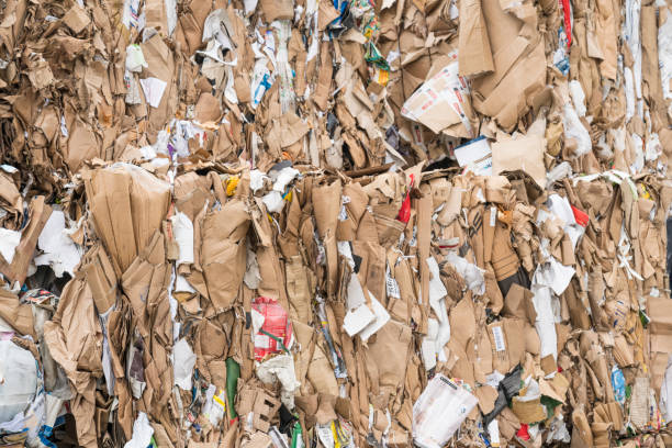 istock Bales of recyclable paper at a sorting center 1311504594