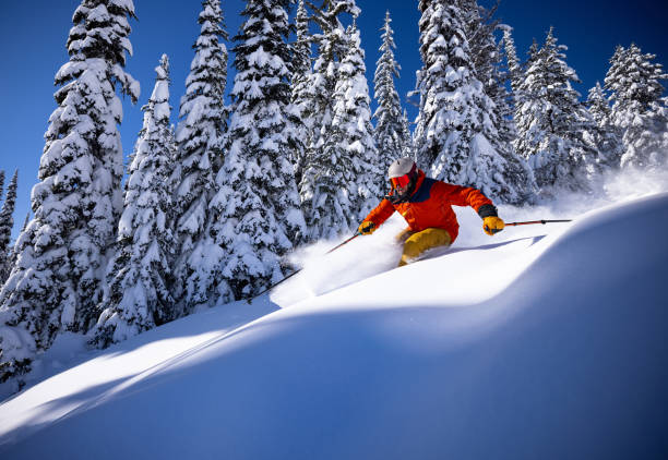 порошковые лыжи - skiing british columbia sports helmet tree стоковые фото и изображения