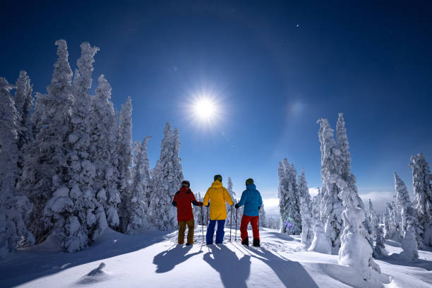 наслаждаясь видом - skiing british columbia sports helmet tree стоковые фото и изображения