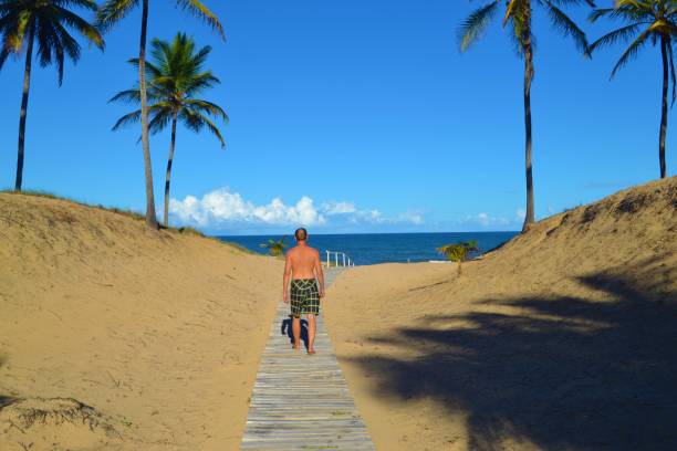 istock On the way to the beach 1311506987