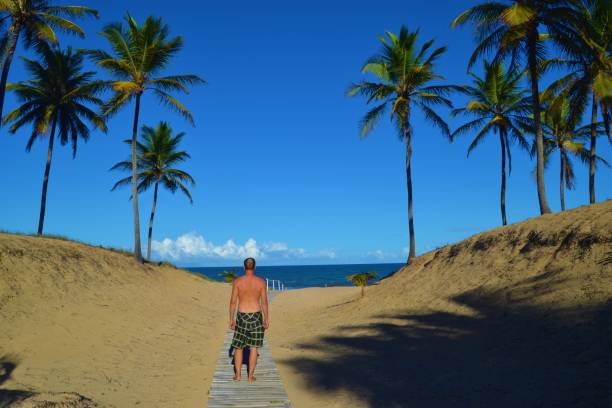 istock On the way to the beach 1311506995