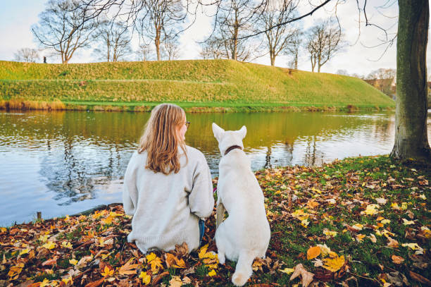 Советы и отзывы кинологов