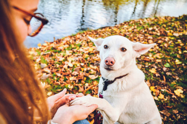 My human loves me, I can tell!