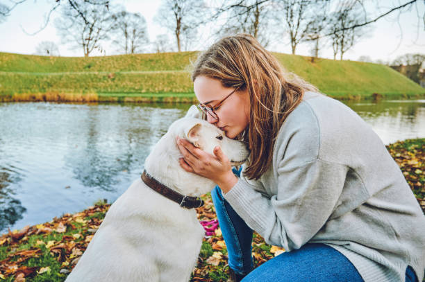 istock Humans and dogs share a special bond 1311507201