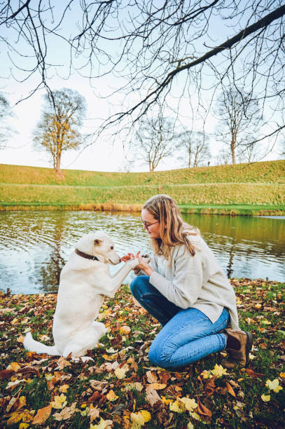 istock When I needed a hand, I found your paw 1311507205