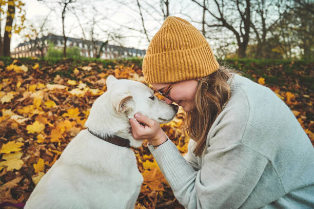 istock You had me at woof 1311507254