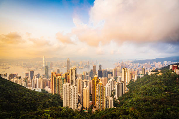 istock Hong Kong Skyline at sunset from the Peak 1311509031