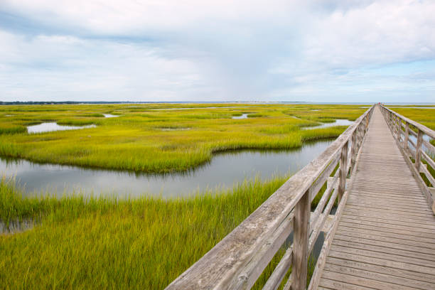 puente en la vía fluvial de la marisma en cape cod, massachusetts - cape cod new england sea marsh fotografías e imágenes de stock