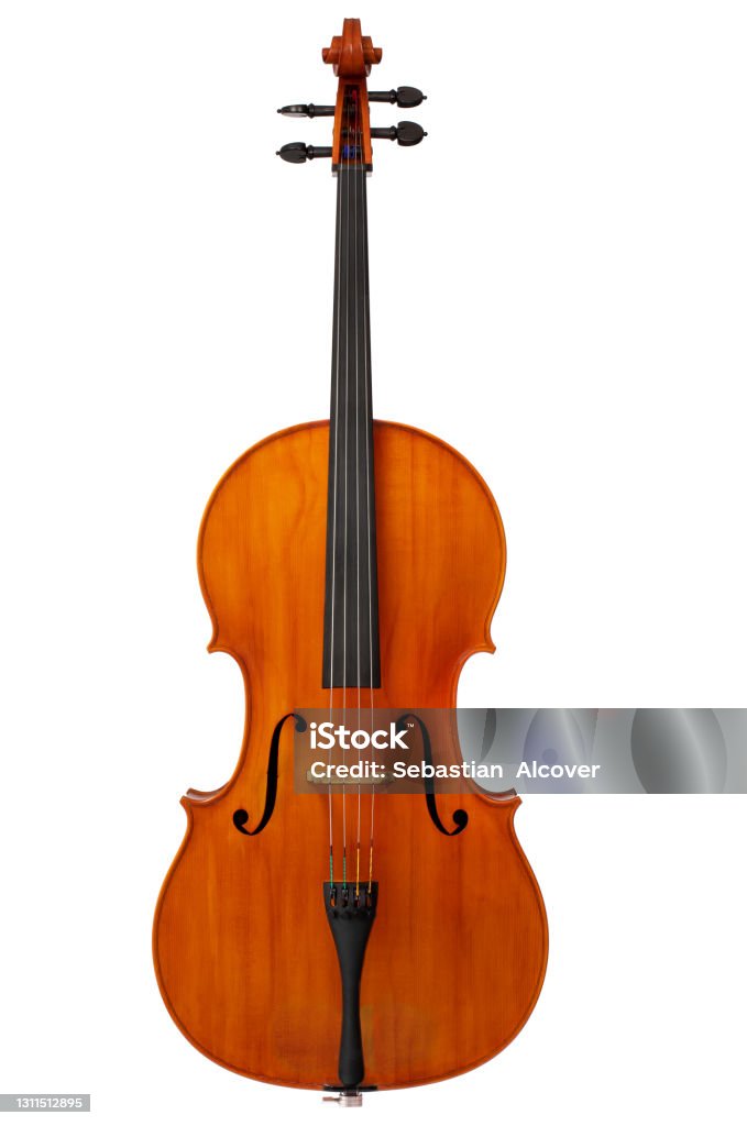 Cello front instrument musical wood isolate white backgroud Cello Stock Photo