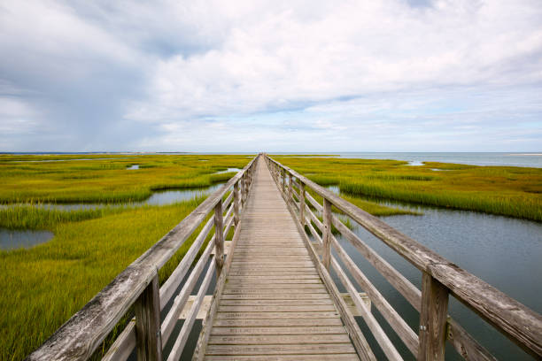 bridge in marsh waterway on cape cod, massachusetts - landscape new england cloud sky imagens e fotografias de stock