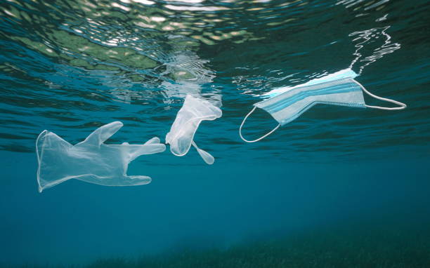 istock Plastic waste underwater gloves with face mask 1311514191