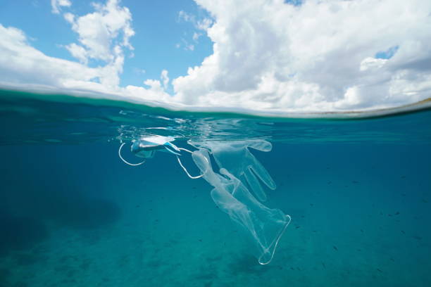 istock Plastic waste in the sea face mask with gloves 1311514975