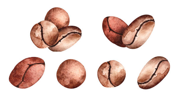 istock Watercolor set of coffee beans, isolated elements on a white background. 1311515714