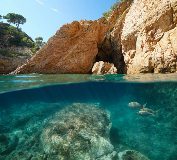 istock Rocky coast natural arch Mediterranean sea Spain 1311517901