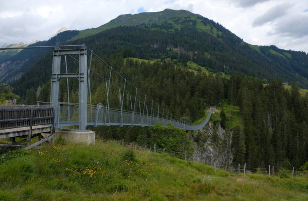 istock high suspension bridge between mountains trees and rocks 1311518240