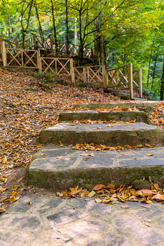 This ancient stair made of stone is located in the middle of a mountain forest in northern Italy.