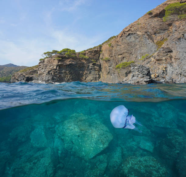 istock Rocky coast over and under water surface 1311522435