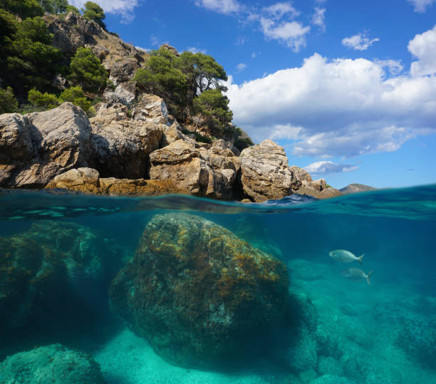 istock Rocky coast over under water surface Mediterranean 1311524055
