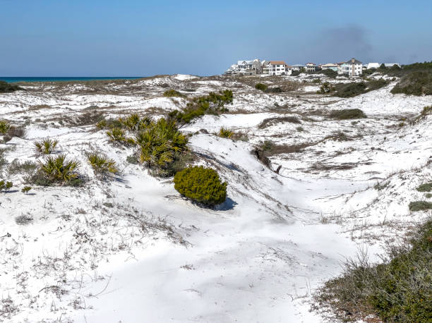 Dune landscape near a housing development in the Florida Panhandle