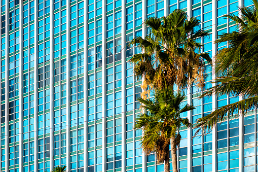 Abstract exterior architecture facade of modern steel glass windows residential condo apartment building or hotel with palm trees in Miami, Florida