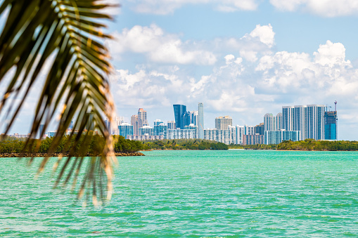 Bal Harbour, Miami Florida with green turquoise ocean Biscayne Bay Intracoastal water by cityscape skyline of Sunny Isles Beach and palm tree branch in foreground