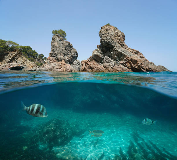 istock Rocky islets Mediterranean sea Spain Costa Brava 1311527878