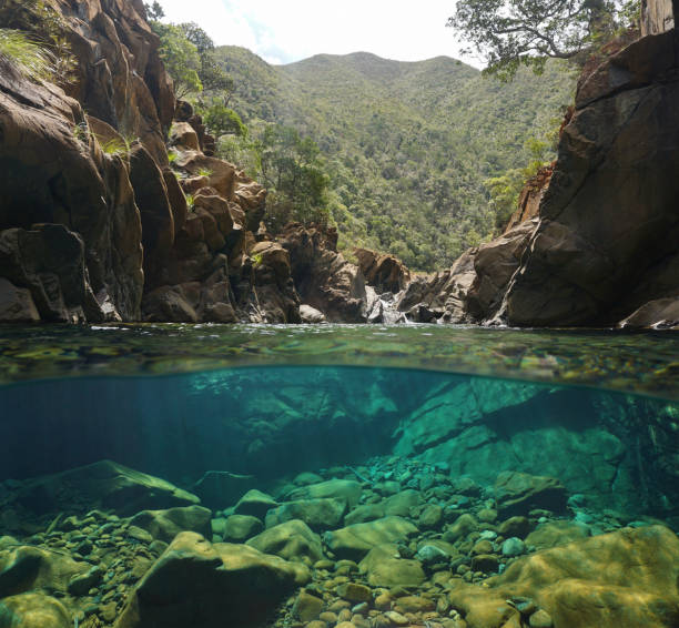 Rocky river with clear water over under