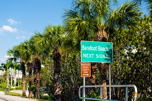 Road traffic direction sign to Bareboot beach park in Bonita Springs, Florida at Gulf of Mexico coast in summer with palm trees