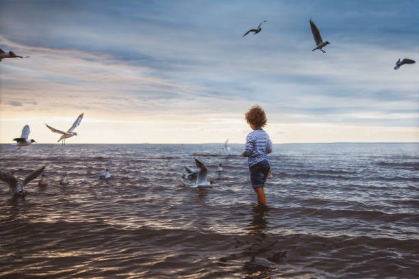 A small boy with curly hair in a sailor's striped vest feeds gulls on the sea beach. Rear view. Cloudy weather, sunset. stock photo