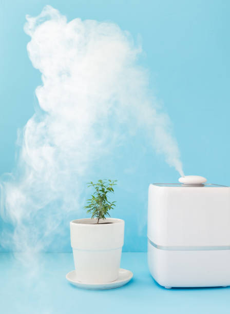 istock home air freshener and humidifier 1311529721