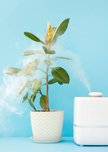 home air freshener and humidifier