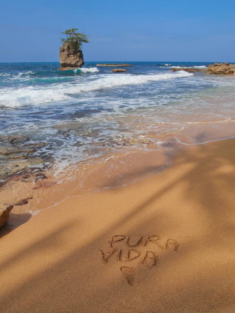 Sea shore PURA VIDA written in sand Costa Rica Tropical sea shore with a rocky islet and the words "PURA VIDA" written in the sand, Caribbean coast of Costa Rica, Central America limon province photos stock pictures, royalty-free photos & images