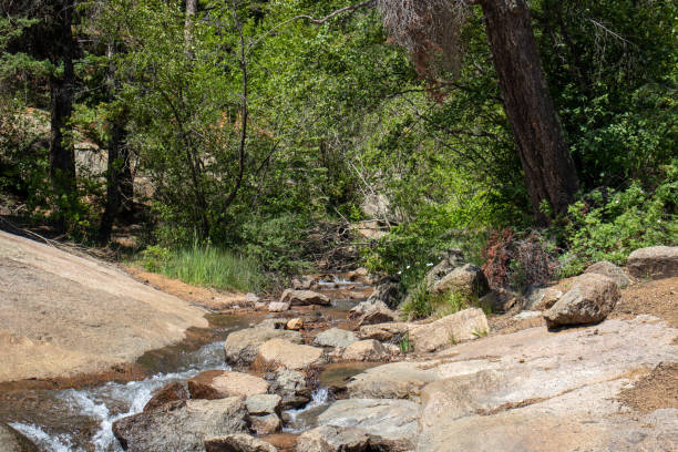 cascate di helen hunt cascate del colorado che scorrono ruscello estate 2019 - mountain peak long colorado mountain foto e immagini stock