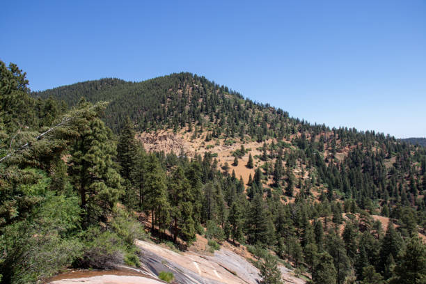 helen hunt's falls colorado sentieri escursionistici estate 2019 - mountain peak long colorado mountain foto e immagini stock