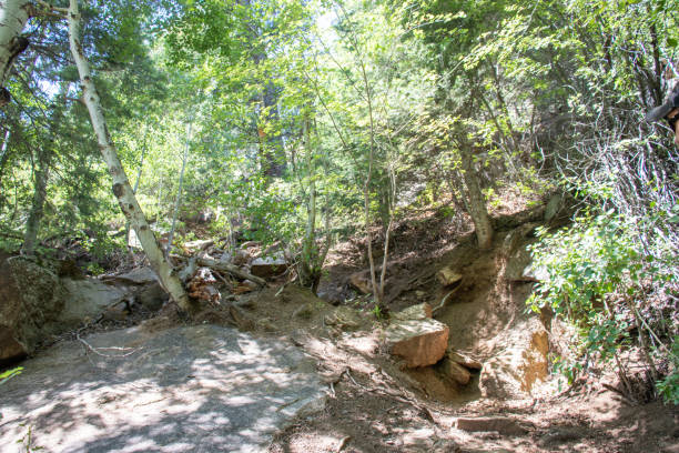 хелен хант падает колорадо пешеходные маршруты летом 2019 - mountain peak long colorado mountain стоковые фото и изображения