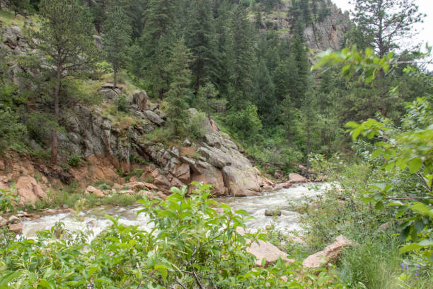 cascate di helen hunt cascate del colorado che scorrono ruscello estate 2019 - mountain peak long colorado mountain foto e immagini stock