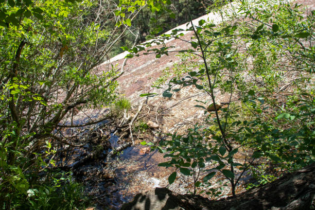 cascate di helen hunt cascate del colorado che scorrono ruscello estate 2019 - mountain peak long colorado mountain foto e immagini stock