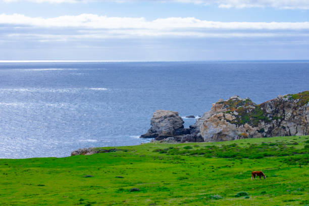 istock View from California's Pacific Coast Highway. 1311542496
