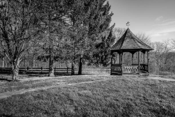 istock Gazebo in the Woods 1311544818