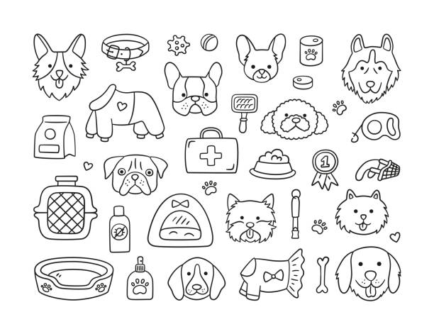 ilustrações, clipart, desenhos animados e ícones de conjunto de cabeças de diferentes raças cães e acessórios caninos. colarinho, coleira, focinheira, porta-aviões, comida, roupas. - chihuahua dog pet carrier puppy