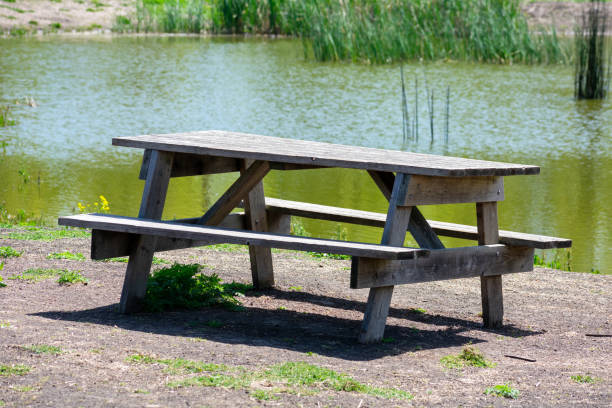istock Empty wooden picnic table with attached benches set up next to the shallow pond covered covered by reeds in the public park. 1311546835