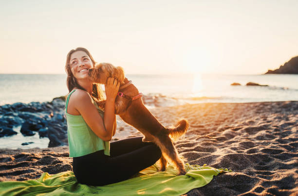 Happy times at the beach. Beautiful young woman and her dog at the beach at sunset. dog swimsuit stock pictures, royalty-free photos & images