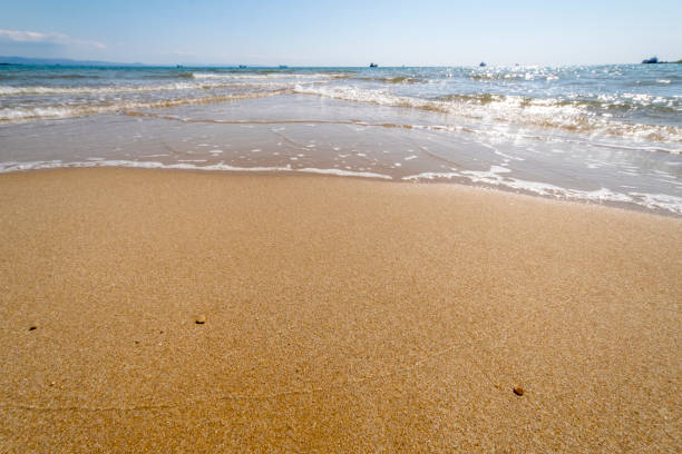 istock Soft wave of turquoise sea water on the sandy beach. 1311547687