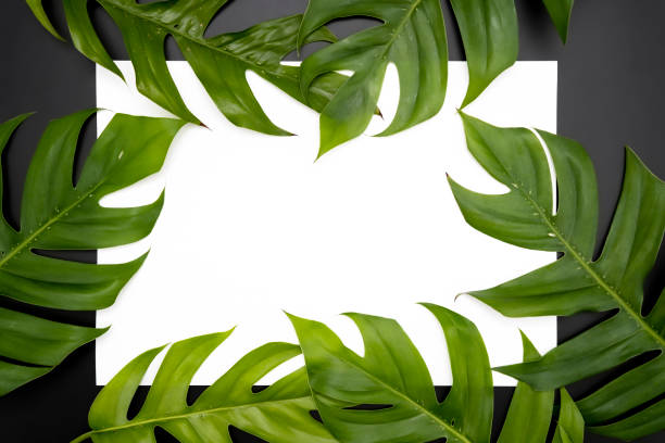 istock Creative layout made of flowers and leaves with paper card note 1311550529