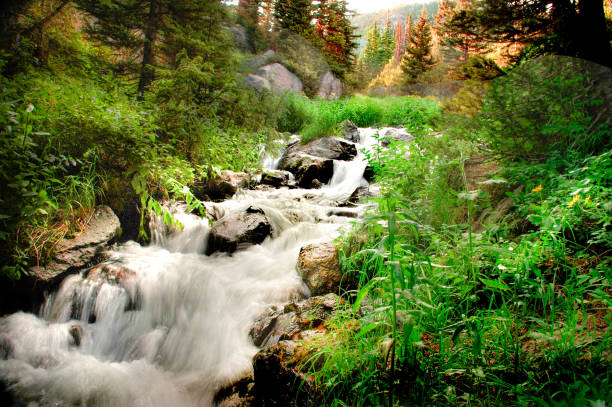 Rushing stream on the trail to Alberta Falls, Rocky Mountain National Park stock photo