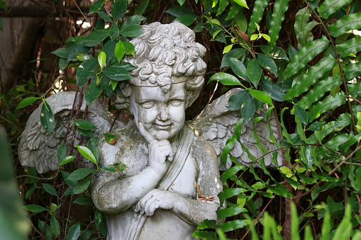 An boy angel statue with curly hair and cheeky pose with head resting on a hand. Garden ornament among ferns and green plants.