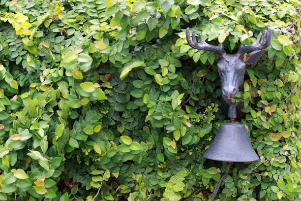 campana testa cervo di metallo in una siepe da giardino - deer stag wall animal head foto e immagini stock