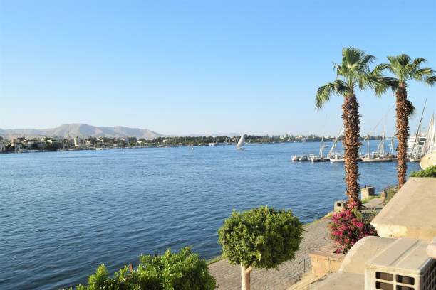 istock BEACH VIEW PHOTOGRAPH WITH PALM TREES 1311566889